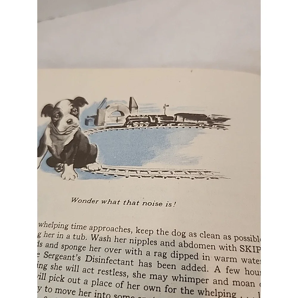 Vintage 1940s Small Sergeant's Dog Care & Product Book Great For Junk Journals